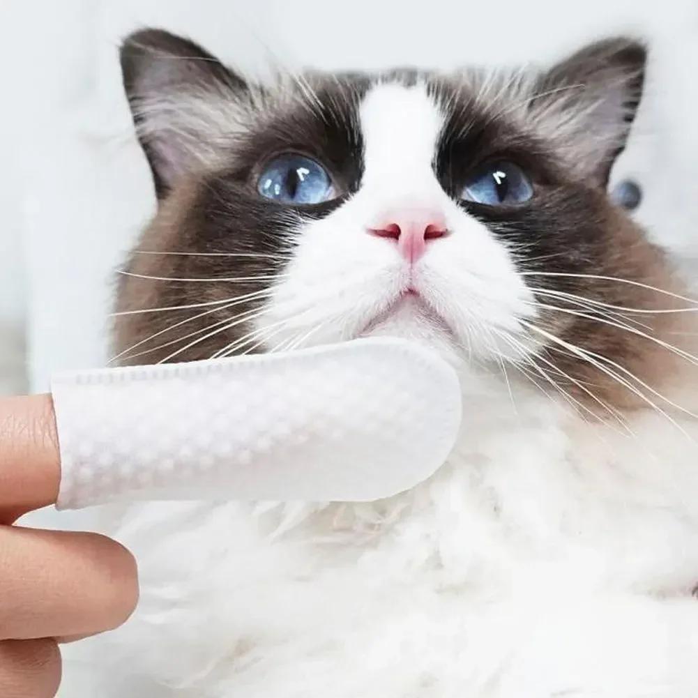 Universal Dogs Cats Disposable Finger Covers Fresh Breath Essential 50Pcs Pet Cleaning Finger Covers Tartar Removal Ear Cleaning