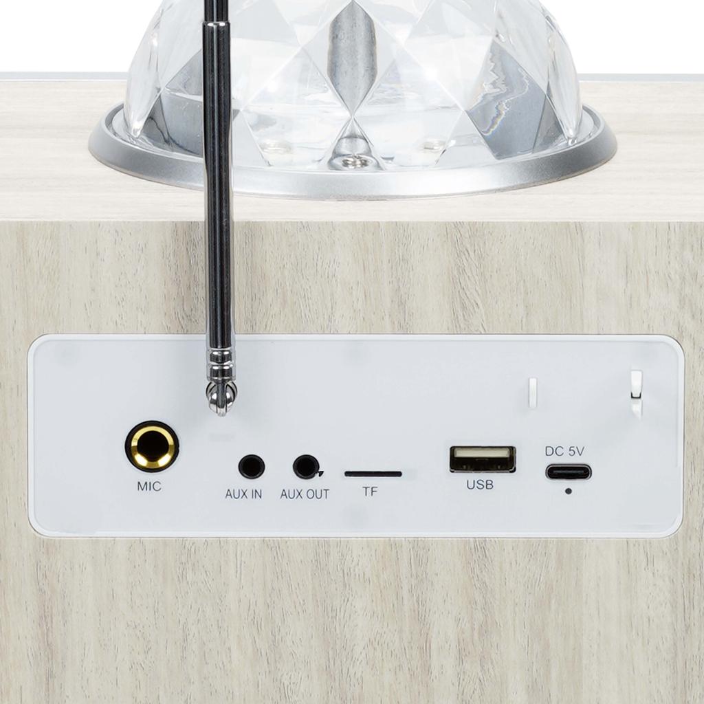 MusicMate MM-SK200 Apex Smart Karaoke Set