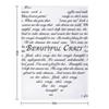 BEAUTIFUL CRAZY Throw Blanket Designers Cute Thins Comforter Blankets