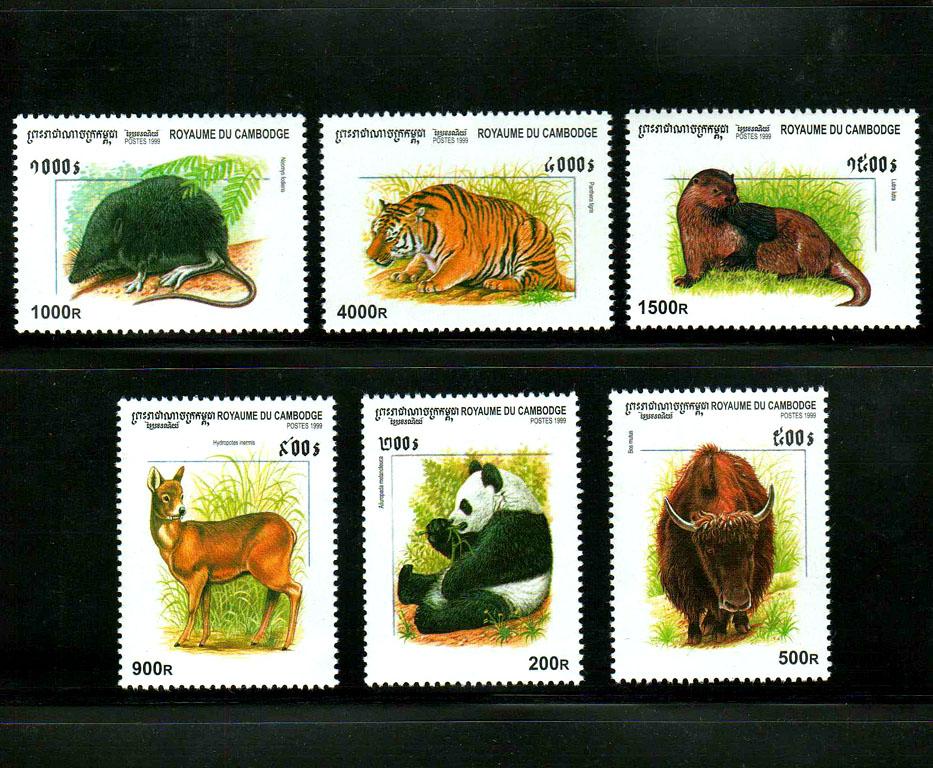 Kambodscha Post Y1999 Wildtiere Säugetiere Panda Tiger Echte Briefmarken Porto 6 Neue Sammlerbriefmarken Material Für Scrapbooking