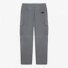The North Face Frazer Cargo Pants Np6ns15c Cool Gray