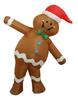 Gingerbread Christmas Costume For Adults, Gingerbread Cook
