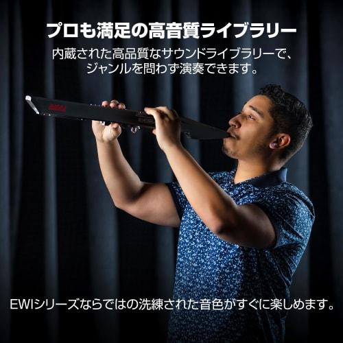 Akai Professional EWI 5000 Wind Synthesizer, Electronic Wind Instrument, Battery-Powered, Wireless, Built-in Sound Library, Breath Sensor, Black