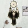 Handcrafts Dreamcatchers with Pampas Grass and Crystal Stone for Home Wall Hanging Decoration and Peaceful Ambiances