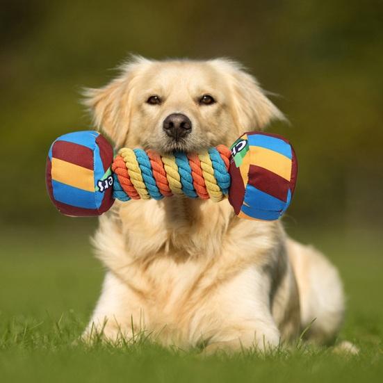 

Игрушка для собак Yousheng в форме радужной гантели, интерактивная игрушка-пищалка для домашних животных, устойчивая к укусам, игрушка для прорезывания зубов у собак, товары для животных