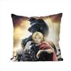FFullmetal Alchemist Pillow Case For Car Sofa Decorative Home Doublesided Print Plush Square Throw Pillow Cushion Cover
