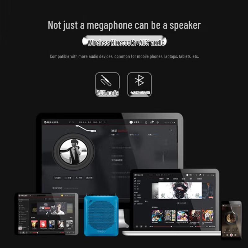 SHIDU SD-S516 Wireless Bluetooth Voice Amplifier CN Plug (adapter Included)