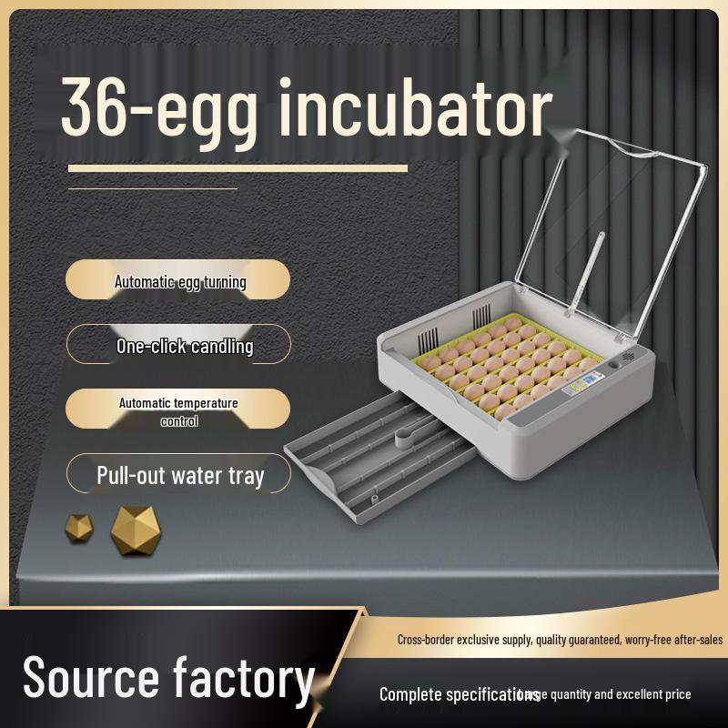 Fully Automatic 36-Egg Incubator for Quail and Chick Hatching
