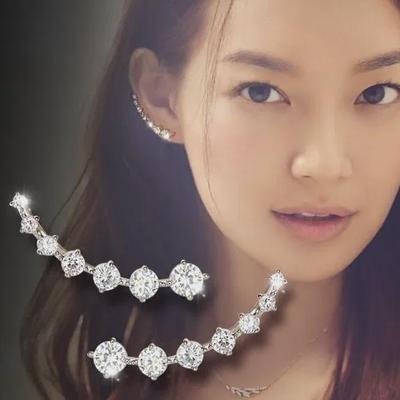 Korean Fashion 925 Sterling Silver Full Diamond Earrings for Women