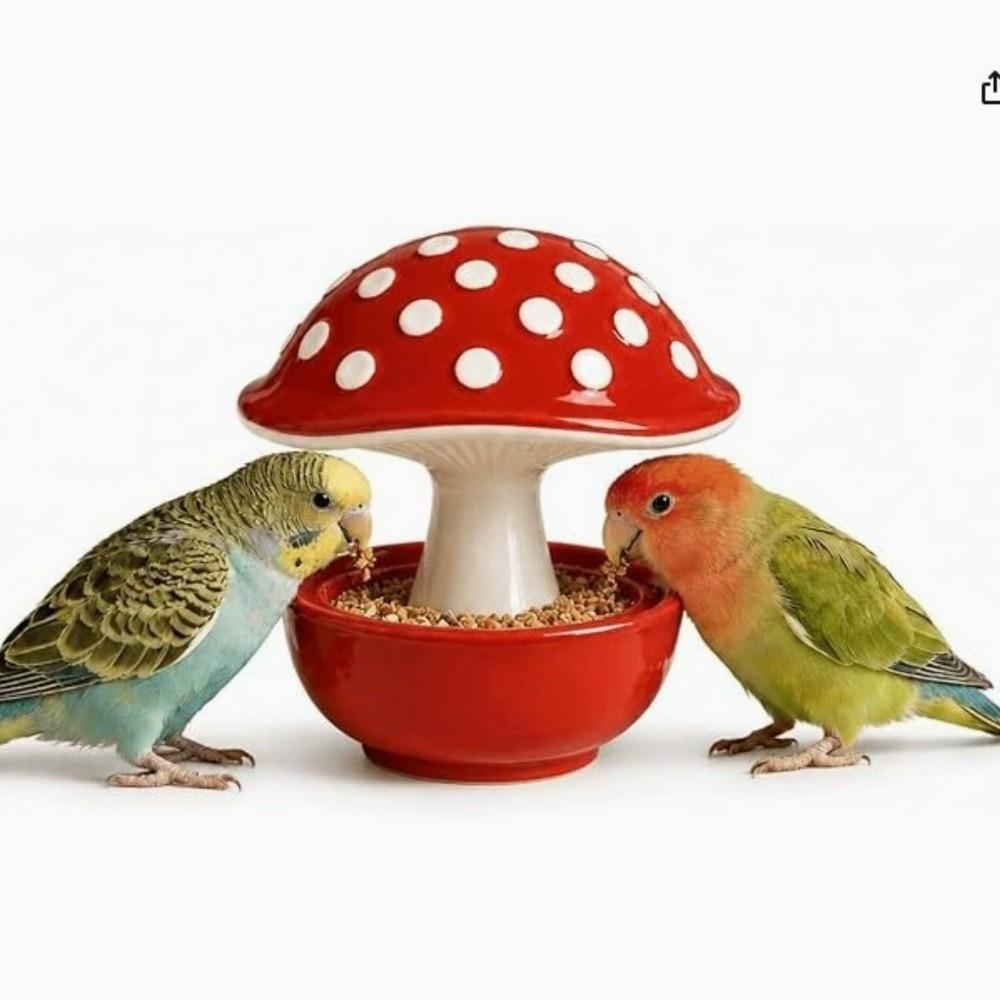 Resin Bird Feeder Bowl Anti Tip Parrot Food Container Practical Feeding Station Balcony