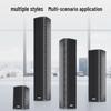 Huidu H-0206 Professional All-Weather Line Array Speaker
