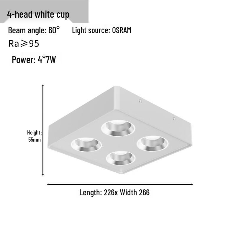 oenyl LED Surface Mount Spotlight