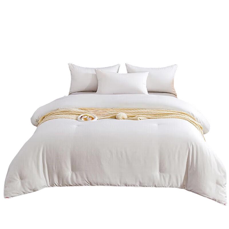 

Hongdou Berlin Home Silk Blend Comforter
