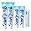 Leng Suan Ling Well Salt Toothpaste & Toothbrush Set