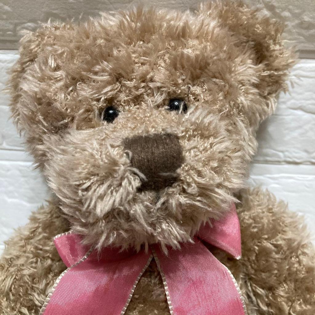 [USED] Harlington RUSS Teddy Bear