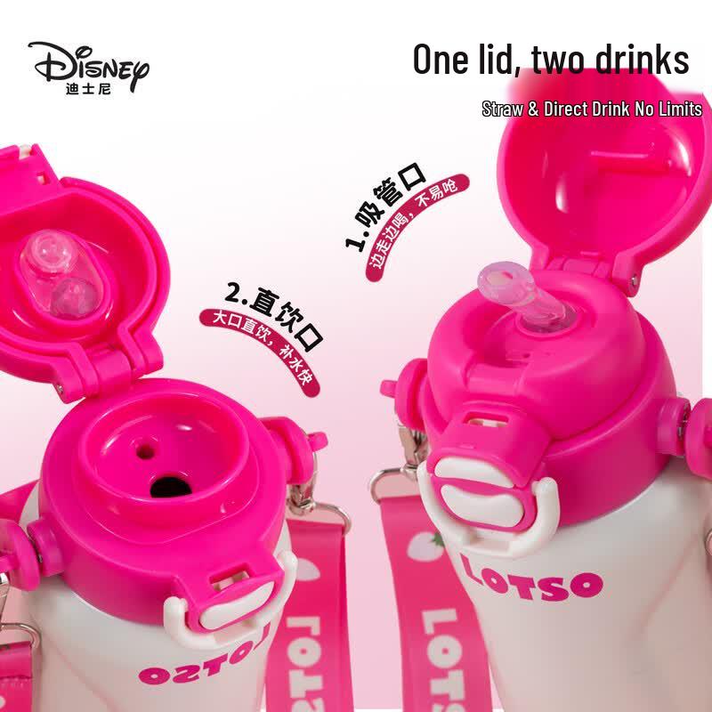 Disney Kids Insulated Stainless Steel Water Bottle