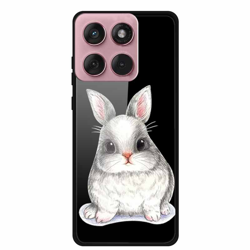 Für Motorola Edge 60 60s 5G Glas Hülle Cartoon Weicher Stoßfänger Hartes Gehärtetes Glas Rückseite Hülle Für Motorola Edge 60 Fusion Schale