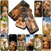 Golden Retriever Dog Phone Cover Soft Case for Samsung Galaxy S25 S24 S23 FE Ultra Plus S7 Edge S25+ S23+ A56 5G Casing