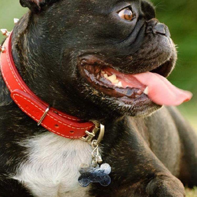 Bone Shaped Tag Silicone Resin Mold Kit with for Key Rings for DIY Crafts Jewelr