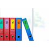 YSHIHE Colored Label Sticker in 12 Colors,3 x 1 Inch Rectangle Color- Coding Labels,Self-Adhesive Color Stickers for Inventory,Office - 480 Pack