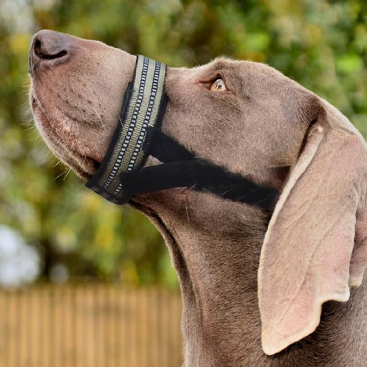 Adjustable Dog Muzzle for Medium Large Breeds Prevents Chewing