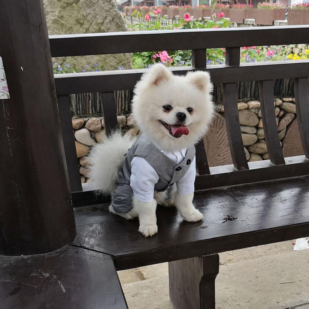 Soft Pet Formal Shirt Creative Puppy Costume Stylish Dog Wedding Suit  For Small Dogs