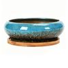 Round Shallow Ceramic Succulents Planter Bowl for Flower Succulents Cactuses Small Desktop Plant Container