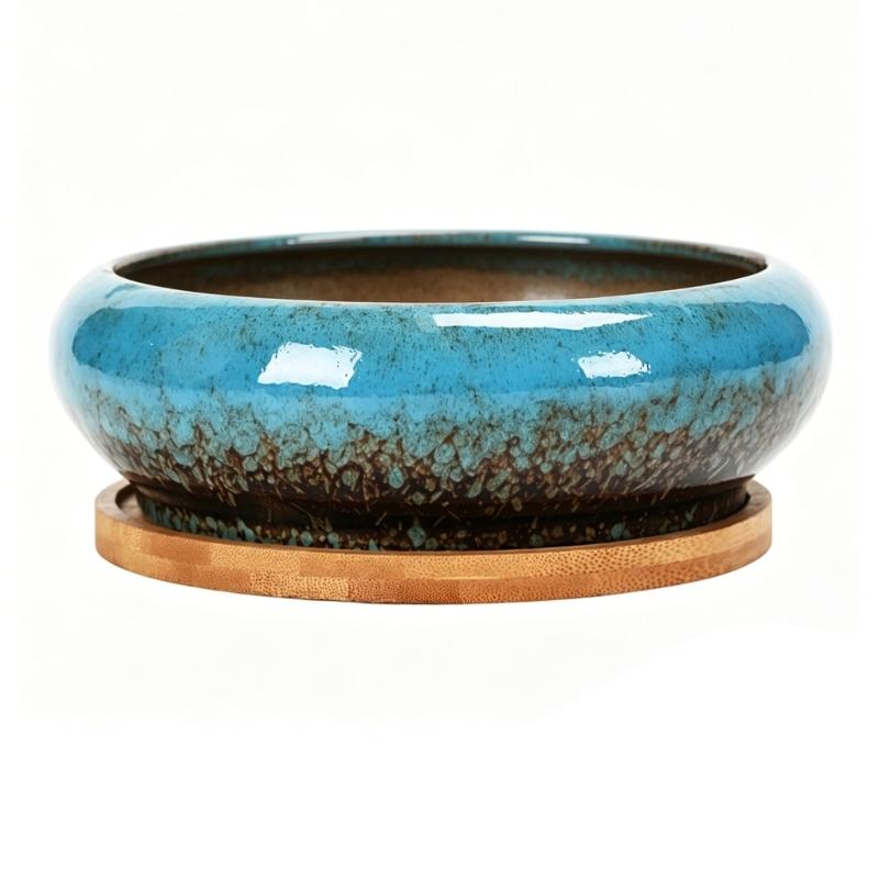 Round Shallow Ceramic Succulents Planter Bowl for Flower Succulents Cactuses Small Desktop Plant Container