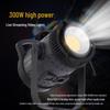 300W LED Adjustable Photography Light for Studio & Live Streaming