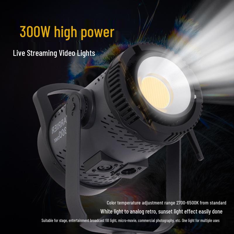300W LED Adjustable Photography Light for Studio & Live Streaming
