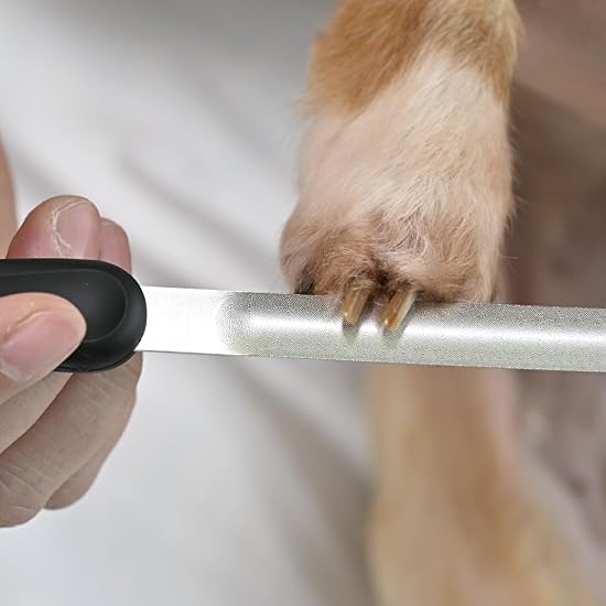 2-Way Curved Nail File for Pets: For Senior Cats & All Dog Breeds