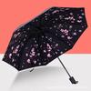 Hand-Painted Floral Umbrella Picture Inside - UPF 50+ Sun & Rain Protection, Folding Compact Parasol for Women & Men, Elegant Gift Idea