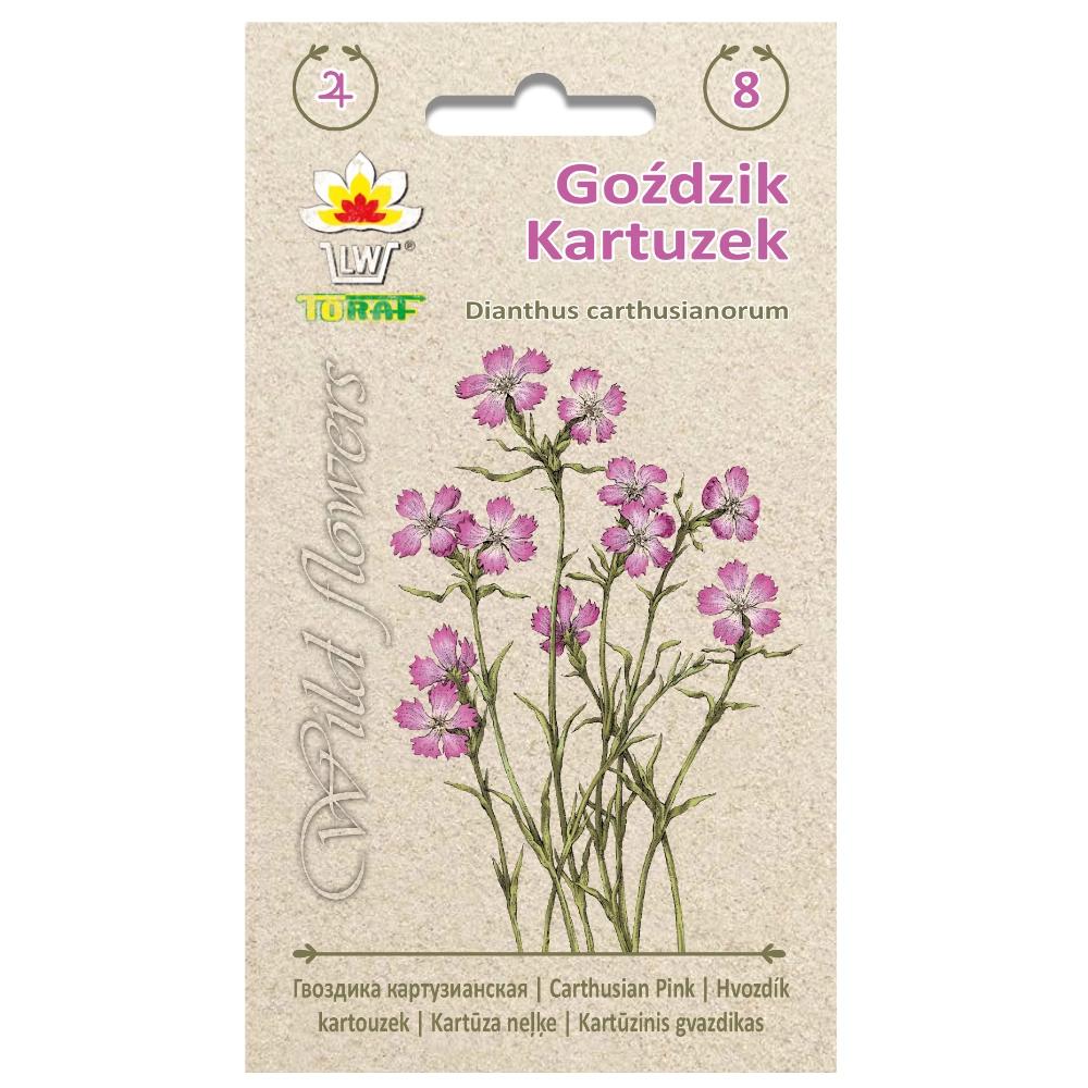 Carnation Kartuzek Flower Seeds for the Garden, Large Yields