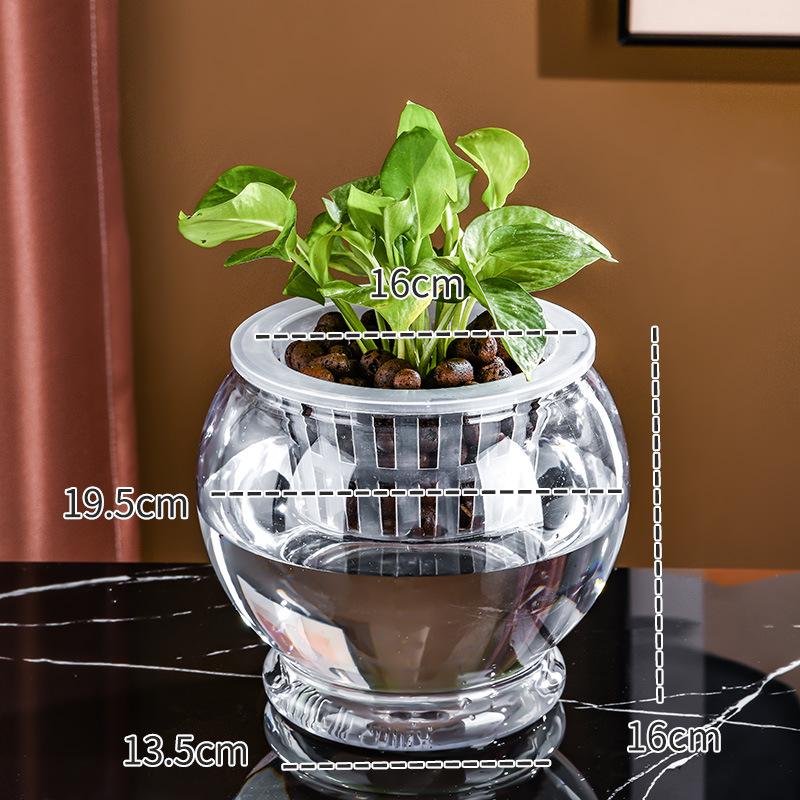 Small Hydroponic Vase for Phalaenopsis & Succulents - Desktop Decoration