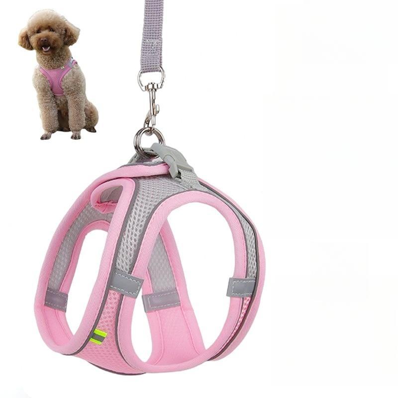 Dog Harness Leash Set for Small Dogs Adjustable Puppy Cat Harness Vest French Bulldog Chihuahua Pug Outdoor Walking Lead Leash