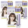 Plus O Flyaway Hair Fixing Stick Point Repair 3 Pcs Jasmine & Lily