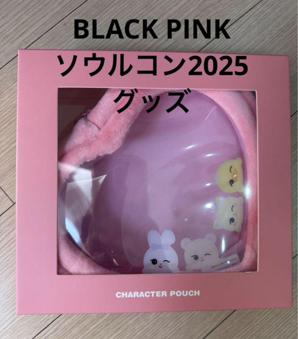 

[USED] BLACKPINK Seoul Concert 2025 Goods Pouch