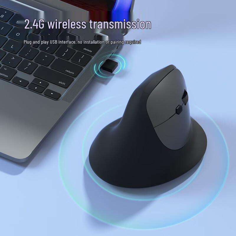 OLOEY Ergonomic Vertical Wireless Mouse