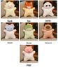 Soothing Plush Beanbag Doll & Keychain Pillow Cushion