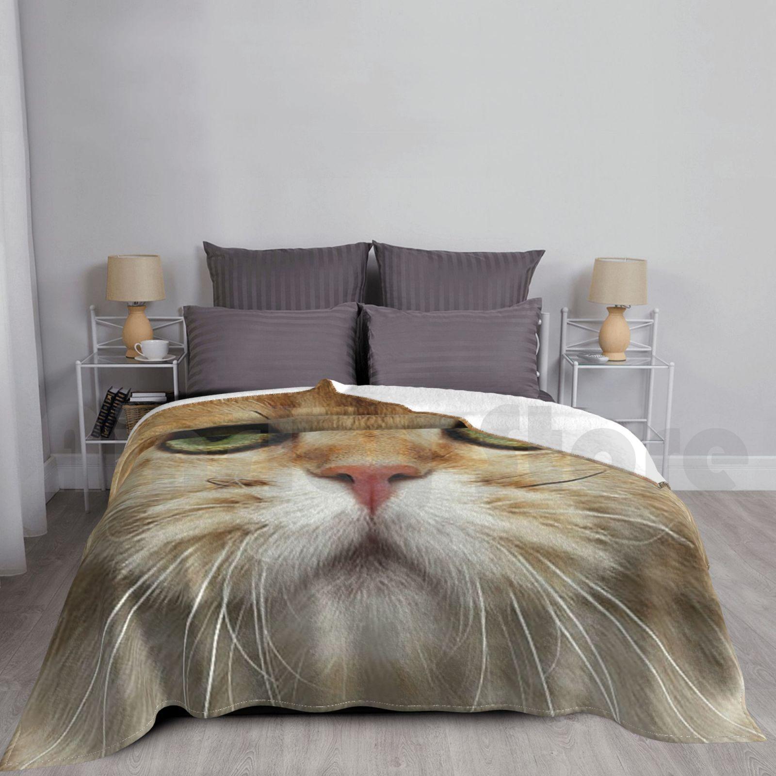 Cute Cat Face Blanket Fashion Custom Cat Kitten Kitty Kitty Animal Cat Lover Cool Trendy Funny Funny Size: 75*100cm, Weight: 230 GSM