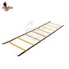 Iron Fox Agility Ladder