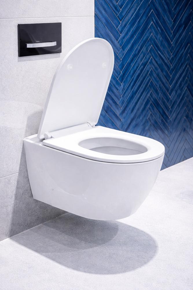 Soft-close universal toilet seat for Carsanit Kolo Roca Duroplast Kizomba