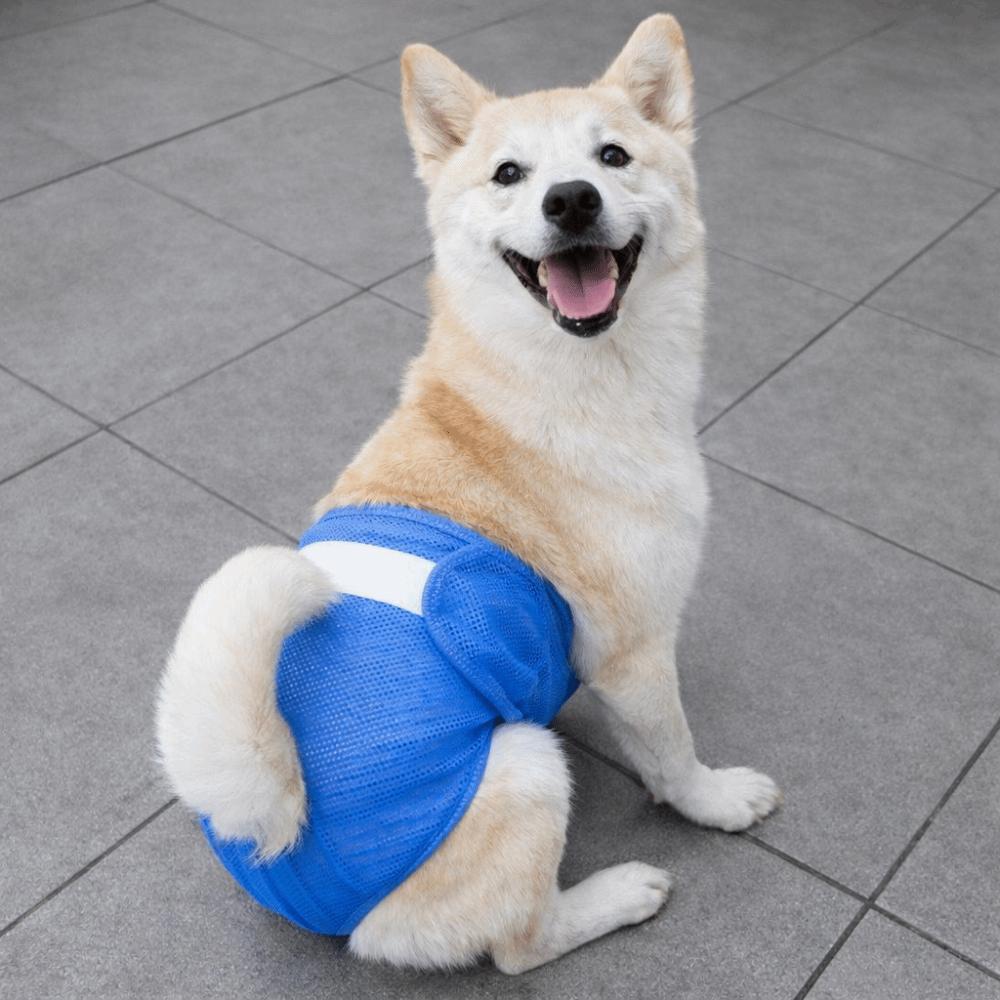 Comfort Fit Dogs Diaper High-Absorbency Pet Physiological Pants Dog Underwear  Anti-Harassment