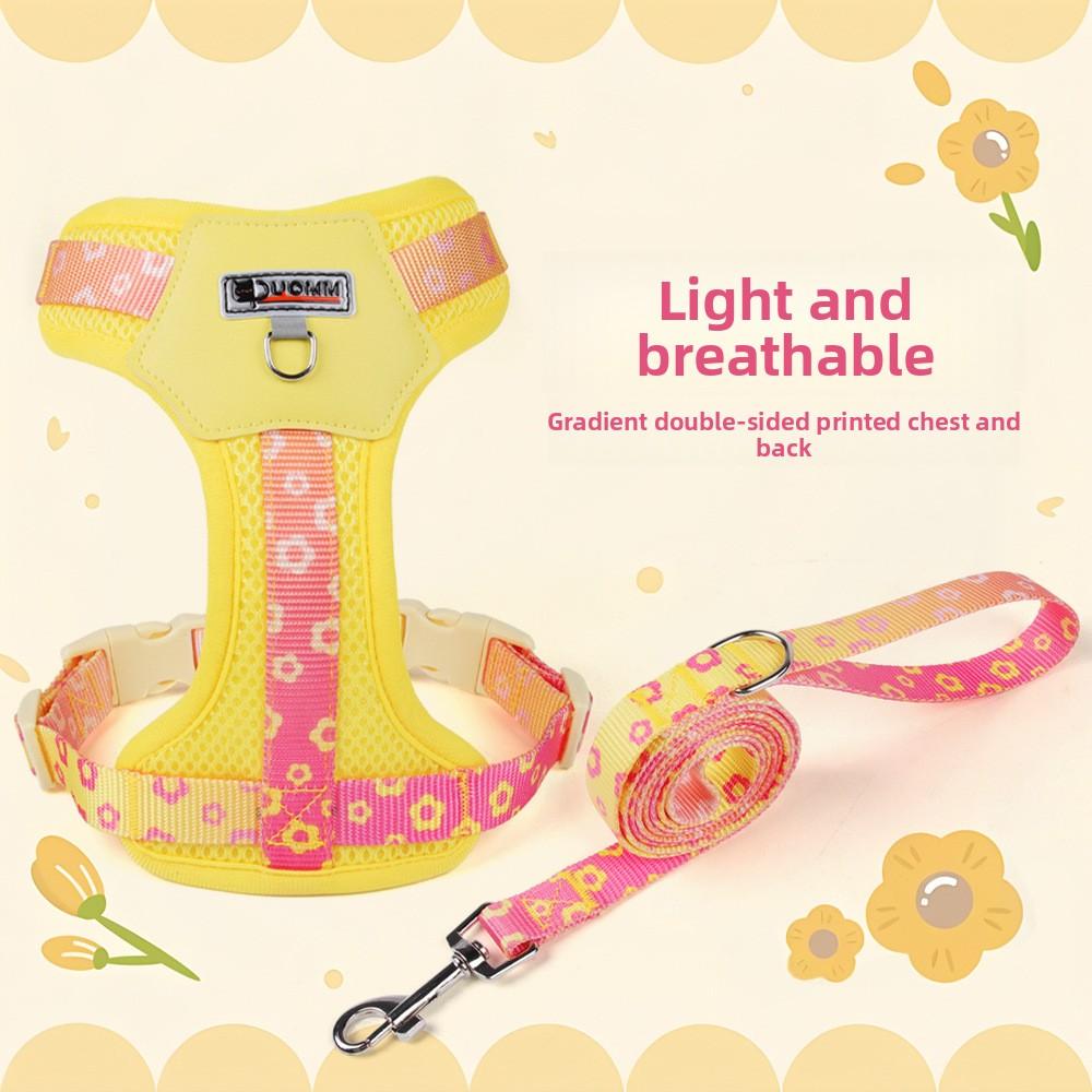 Dopamine Dog Harness Small & Medium Outdoor Dog Harness Gradient Print Pet Leash Set Comfortable and breathable