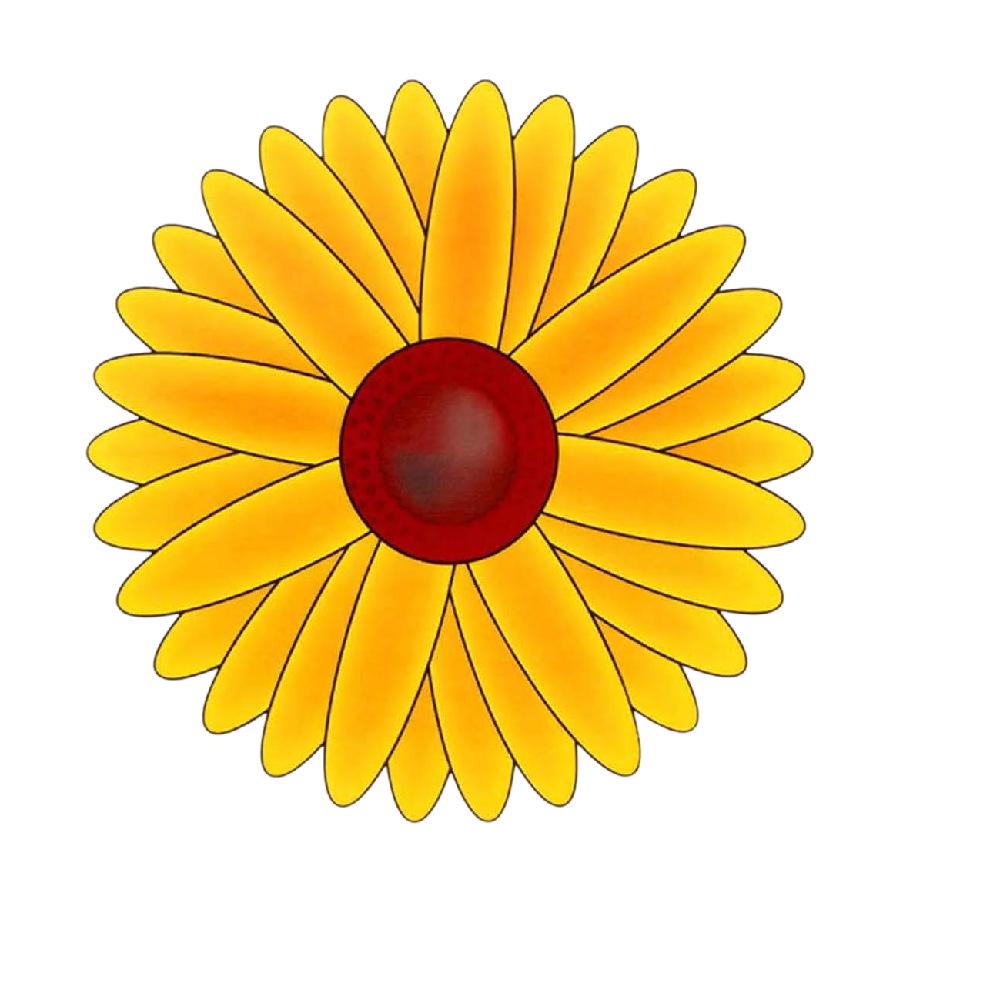 Double-Sided Waterproof Transparent Fly and Insect Sticky Trap Window Sticker