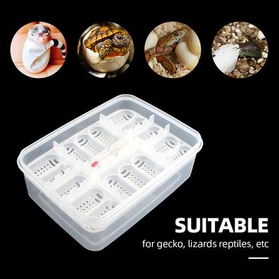 Zásobník na vejce pro plazy Krabice na vejce pro plazy Krabice na chov plazů Inkubace pro plazy