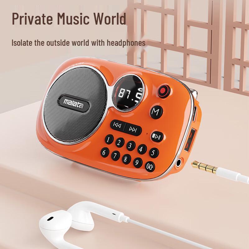 Malata Tragbarer Bluetooth FM Radio Lautsprecher CN-Stecker (Adapter enthalten)