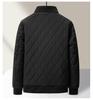 Men's Winter Ribbed Collar Cotton Mulberry Silk Jacket - Business Casual Outerwear
