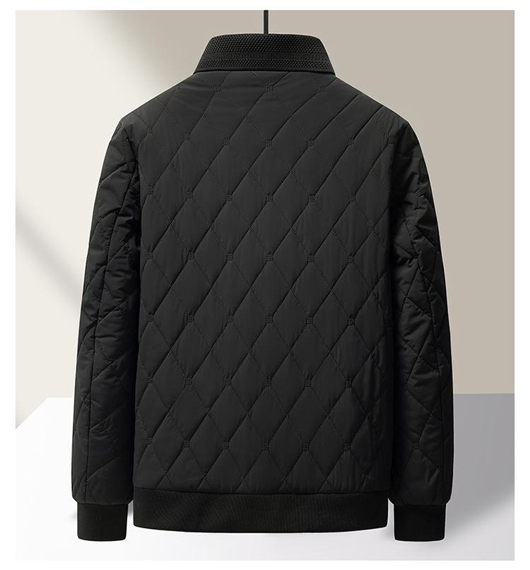 Men's Winter Ribbed Collar Cotton Mulberry Silk Jacket - Business Casual Outerwear