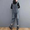 Overalls Women's Loose Large Size Plus Velvet Thick Literary Retro Loose High Waist Harem One-piece Pants